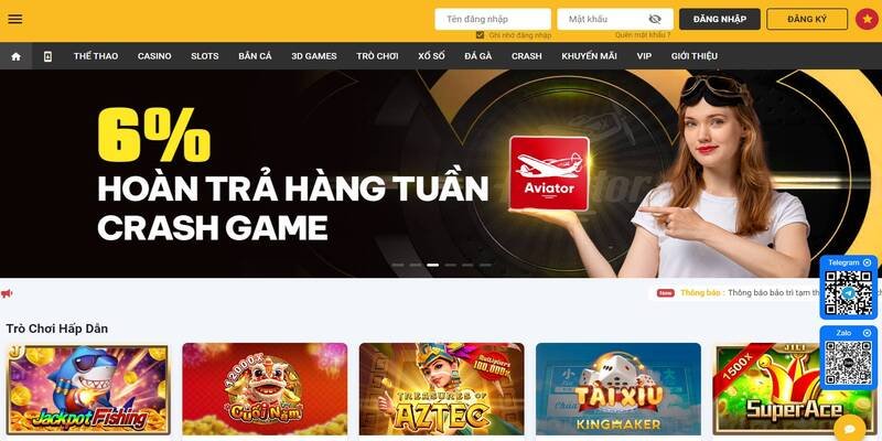 cach-dang-nhap-khi-bị-chan-vao-trang-chu