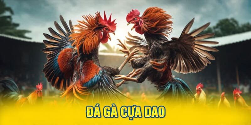 khai-quat-vai-net-co-ban-ve-truc-tiep-da-ga-dao