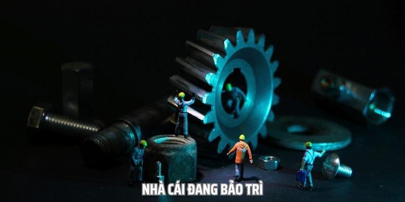 nguyen-nhan-pho-bien-khien-nha-cai-bi-chan