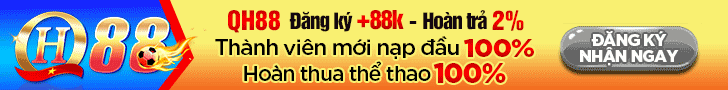 doi-tac-qh88