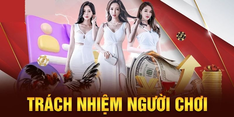 quy-dinh-ve-trach-nhiem-nguoi-choi-tai-betvisa
