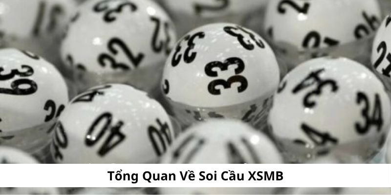 tim-hieu-ve-soi-cau-xsmb