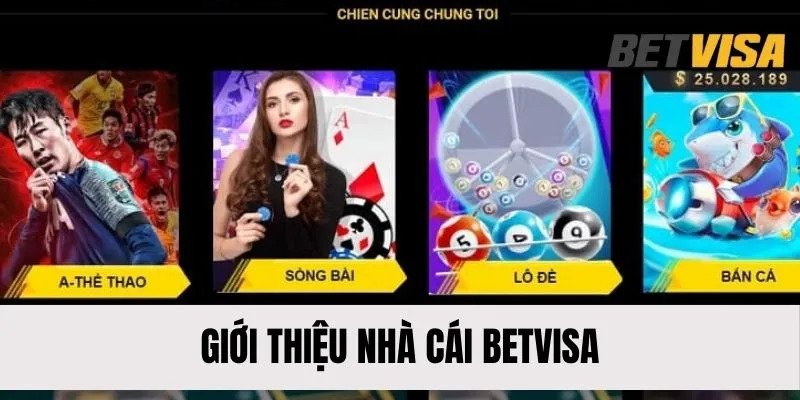 tong-quan-ve-gioi-thieu-betvisa