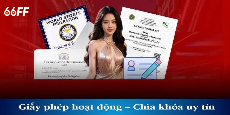 Các giấy phép hoạt động của nền tảng