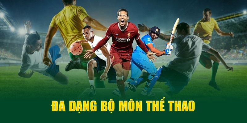 bong-sa-dang-cap-vsbet